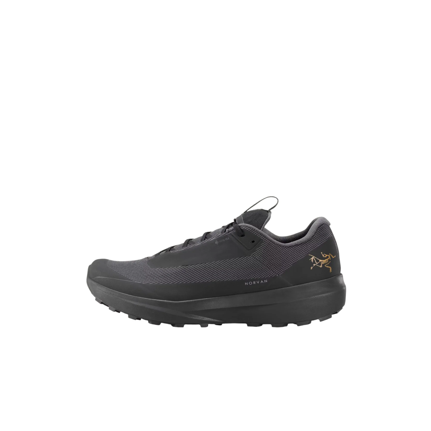 Men's Norvan LD GORE-TEX Waterproof Shoes