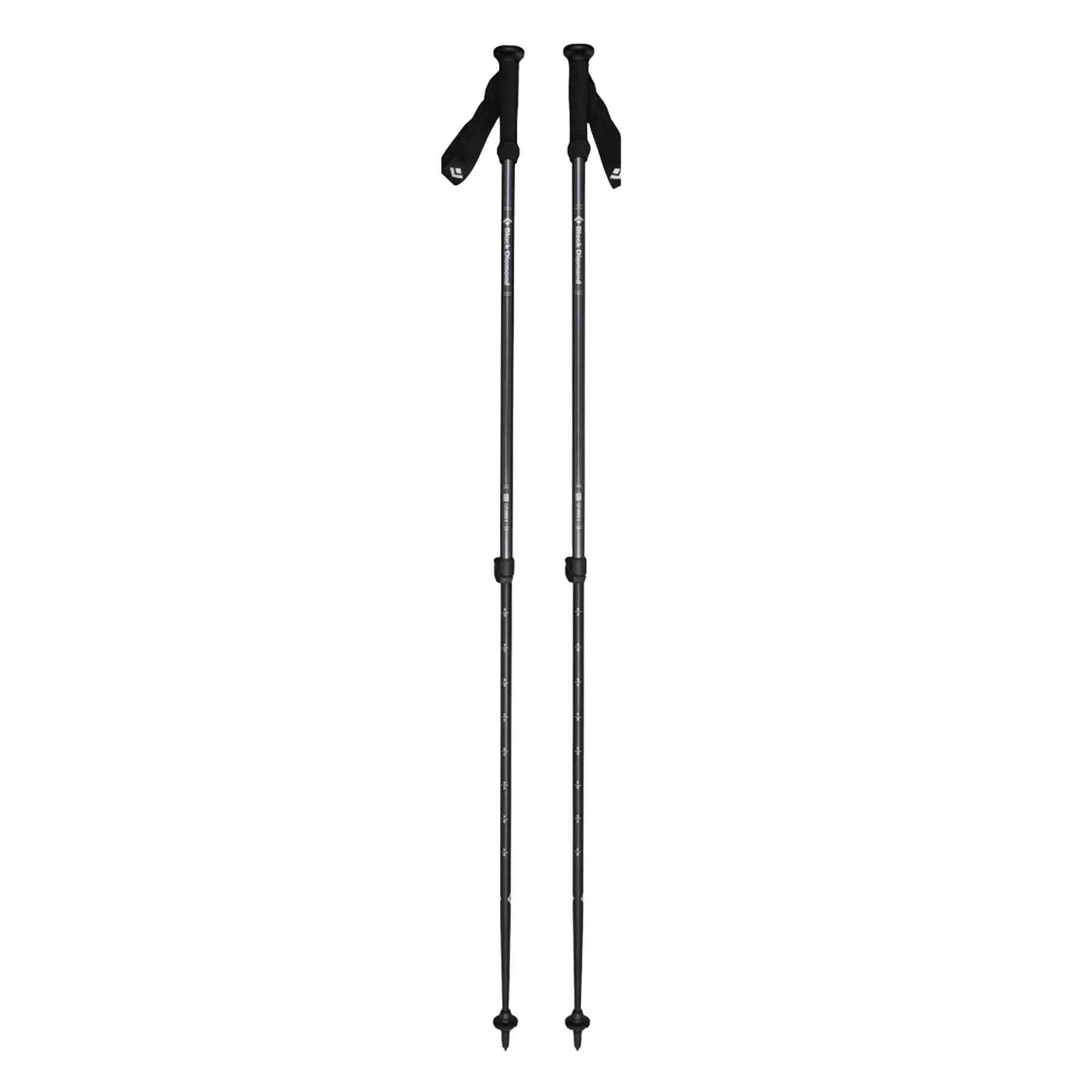 Explorer 2 Walking Poles