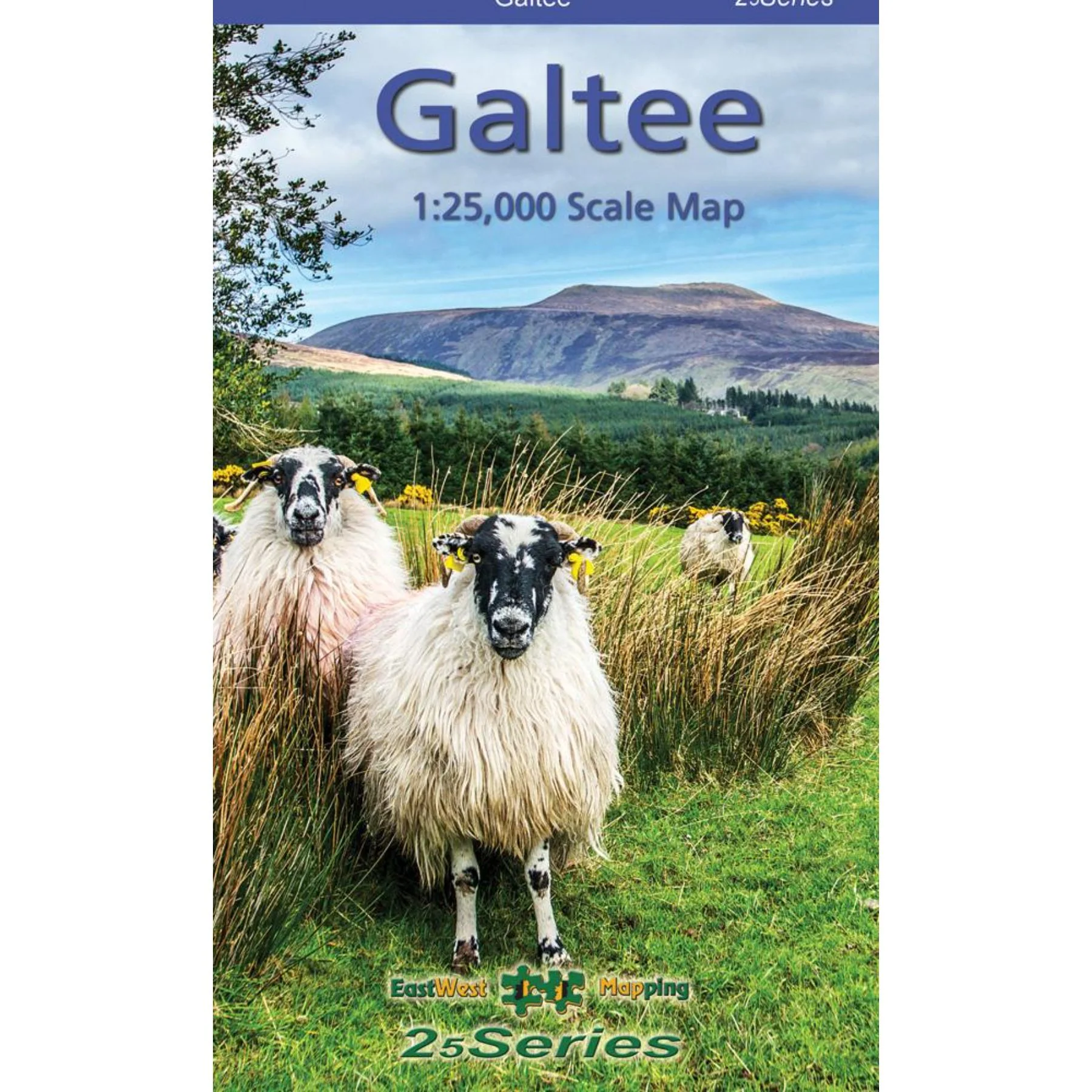 Galtee Map