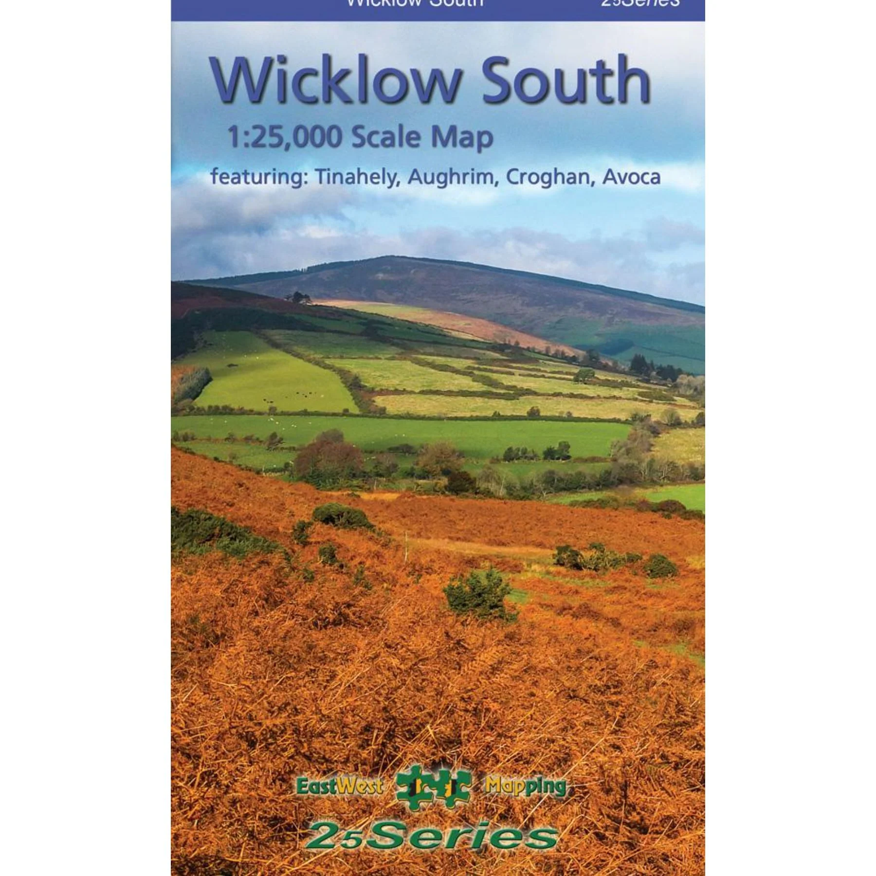 Wicklow South Map
