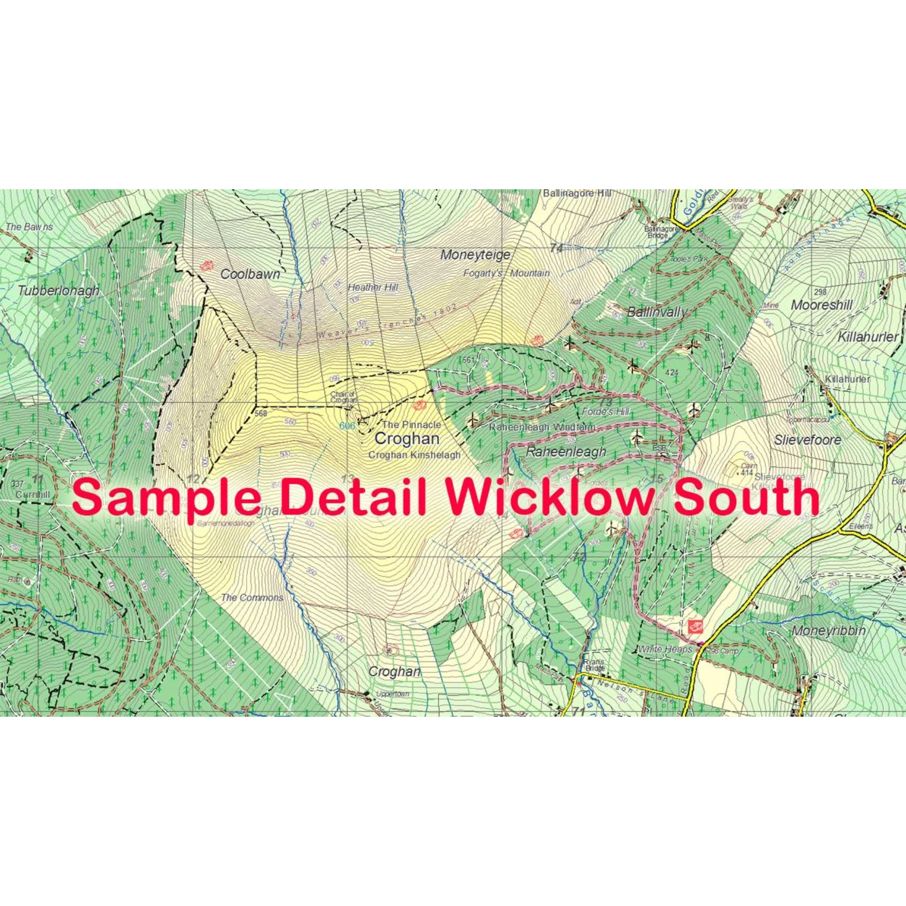 Wicklow South Waterproof Map - Image 3