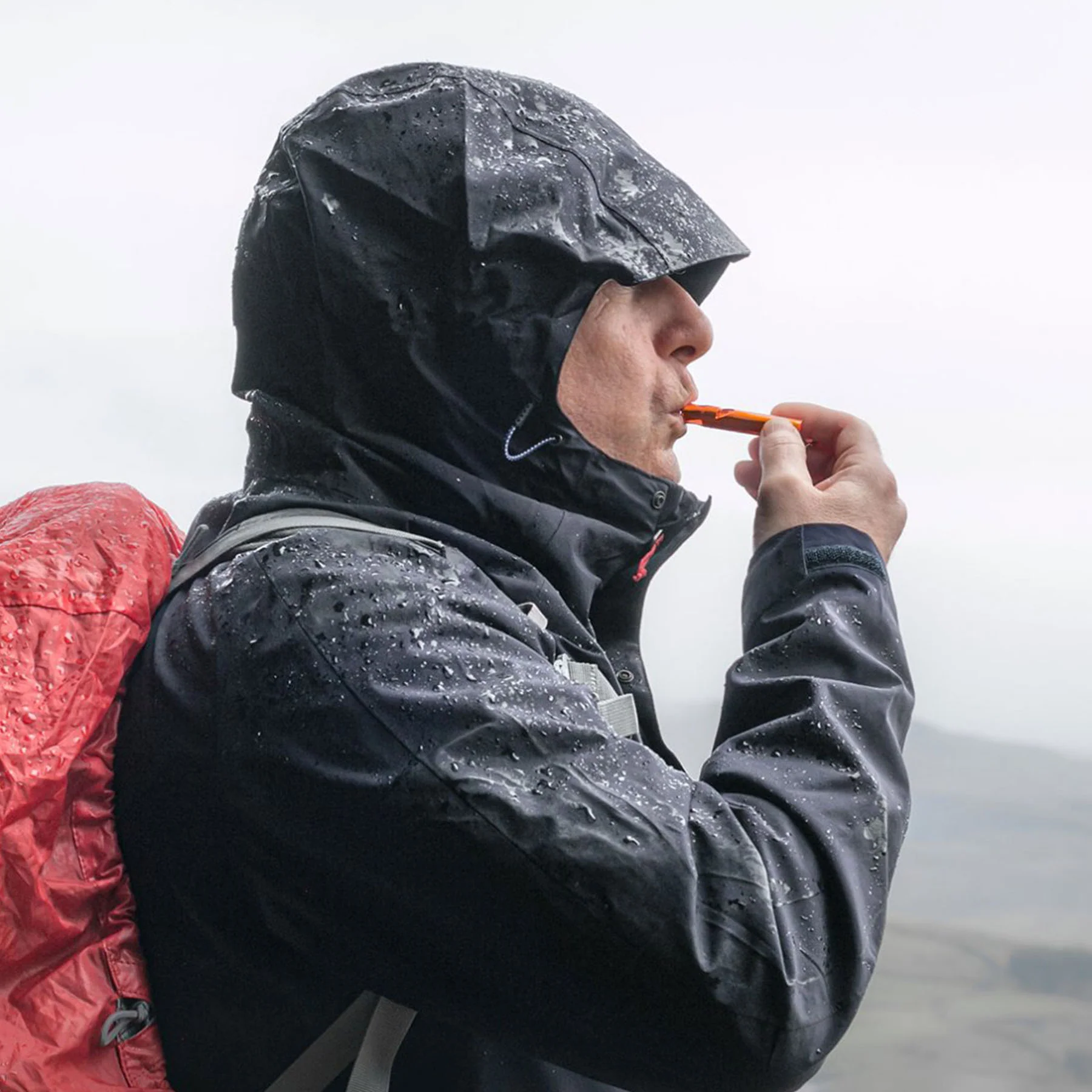 Mountain Whistle - Image 2