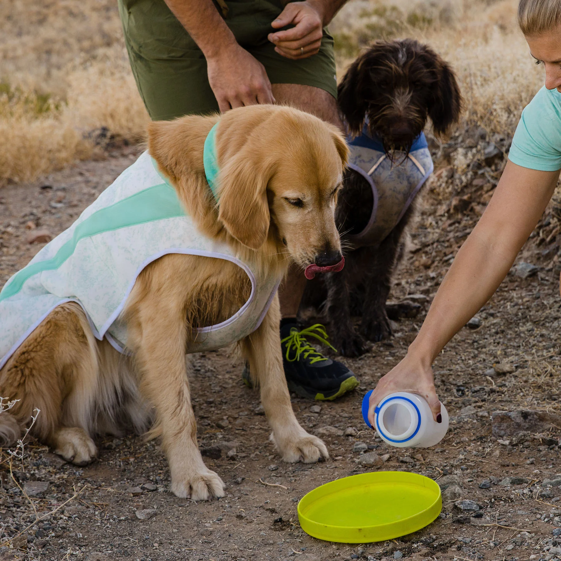 Swamp Cooler Dog Cooling Vest - Image 12
