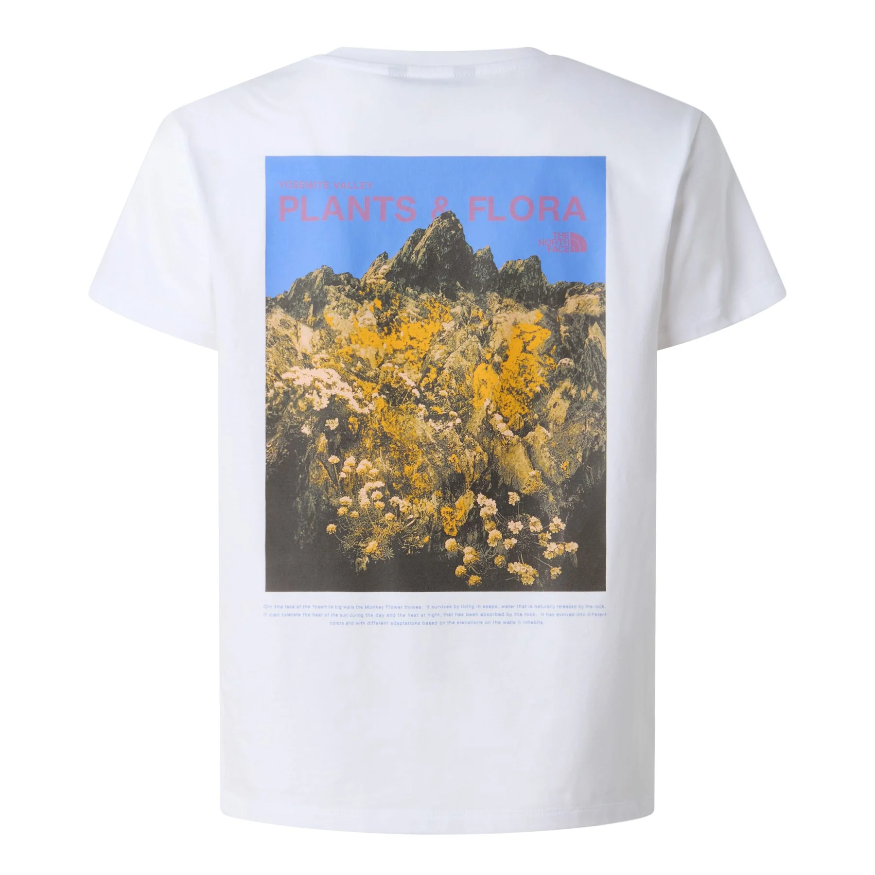 Girls' Flora Relaxed T-Shirt - Image 6