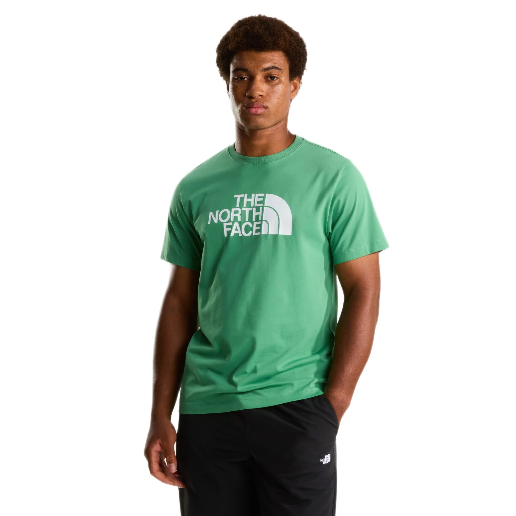 Men's Evolution Half Dome T-Shirt - Image 34